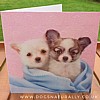 Chihuahua Rachael Hale Dog Glittery Card Lulu & Fred